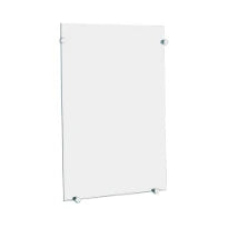 DELABIE Miroir de toilette rectangulaire 420x600 épaisseur 6 mm