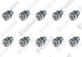 VAILLANT WSS Vis, (10x)