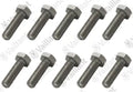 Vaillant WSS Vis, M10x35 (x10)