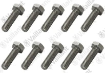 Vaillant WSS Vis, M10x35 (x10)