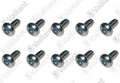 VAILLANT WSS Vis, (x10)