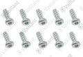 VAILLANT WSS Vis, (x10)