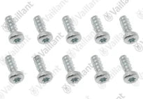 VAILLANT WSS Vis, (x10)