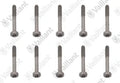 VAILLANT WSS Vis, (x10)