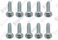 VAILLANT WSS Vis, (x10)