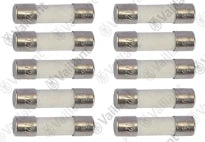 VAILLANT WSS Fusible, (x10)