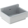 Geberit 300 basic déversoir avec pare-choc 610 x 460 x 340 mm - blanc - avec grilletrous