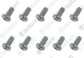VAILLANT WSS Vis, (x10)