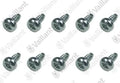 Vaillant WSS Vis, (x10)