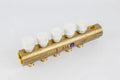 COLLECTEUR BEGETUBE 5/4 X M24 5 raccordements avec thermostat et trou d'aeration 1/2
