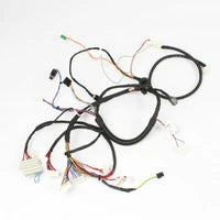 ACV WSS Faisceau 24V