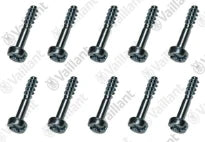 Vaillant WSS Vis, (x10)