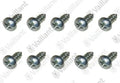 Vaillant WSS Vis, (x10)