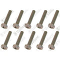 Vaillant WSS Vis, (x10)