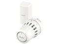 REACT M30 Elément thermostatique sonde à distance