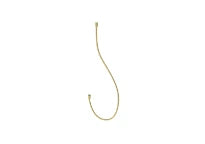 Procasa Vivo flexible de douche 1/2 x 1500 mm - Brushed Gold PVD - or brossé PVD