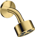 AX One douche tête 75 1j bras douche polished gold optic