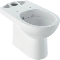 Geberit Selnova cuvette à poser Rimfree sortie PK sans bride - blanc - à fond creux - avec bride partielle (sans réservoir)