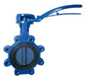 WATTS VANNE PAPILLON SYLAX LUG DN50 GGG40-EPDM-INOX
