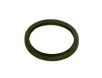 Bosch Dichtingsring