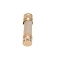 Bosch Buissmeltveiligheid IEC127-2/3 T5,0(10x)