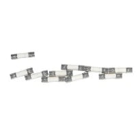 Bosch Set zekeringen 10A 5X20 (10X)