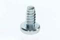 Bosch Schroef DIN 7981-ST6,3x13 (10 x)