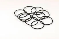 Bosch O-ring (10 x)