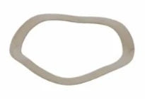 BOSCH WSS ring 30,4x25,5x0,3