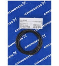 GRUNDFOS WSS O-ring FKM 278.99x3.53/spare