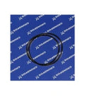 GRUNDFOS WSS O-ring D221.84x3,53, HNBR /spare