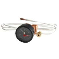 ACV Thermomanomètre 0-4 bar 0-120°C