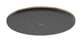 Hansgrohe Raindance Alive S douche de tête 300 mm 1jet - Brushed Bronze