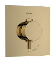 Hansgrohe Ecostat Comfort E thermostat à encastrer 1 système - Polished Gold Optic