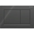 Plaque de déclenchement Geberit Omega30 pour rinçage à 2 volumes - noir - noires mates