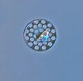Franke WSS SdE crépine 1 1/2" inox poignée