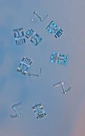 Franke WSS PD set 10 pattes 1302230 NEX/ZOX